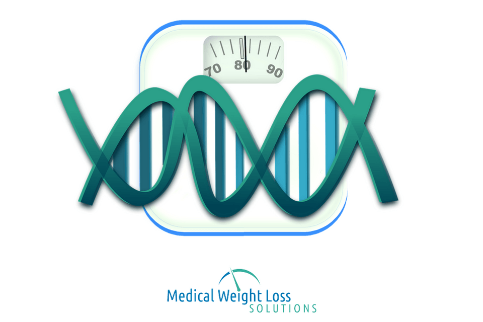 Effects of Genetics on Weight Loss