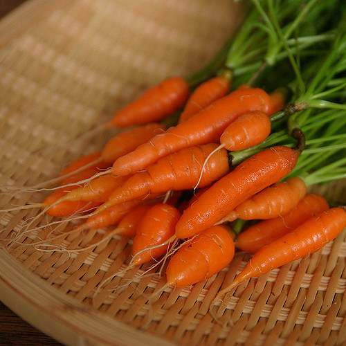 A bunch of baby carrots. 